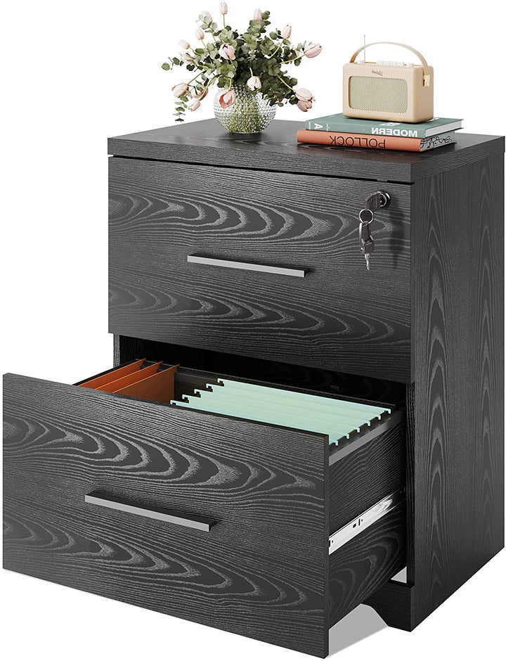 2 Drawer Lateral File Cabinet with Lock and Open Shelf